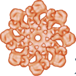 ApexBio