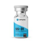 SS-31 - Image 3